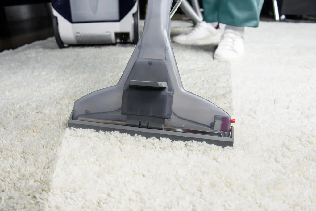 carpet cleaning (1)