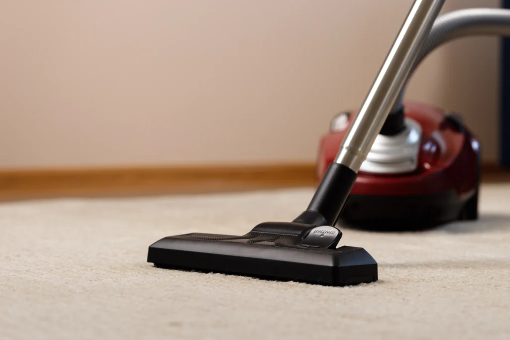 carpet cleaning 5