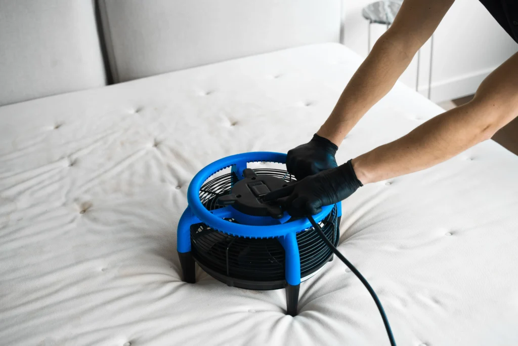 Mattress Cleaning