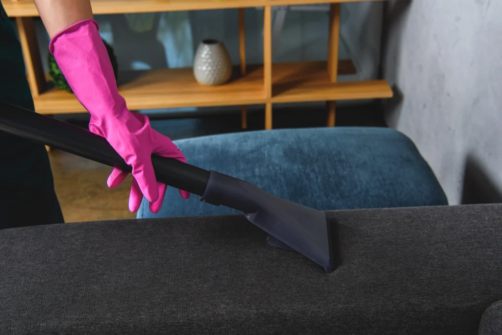 Upholstery Cleaning 1